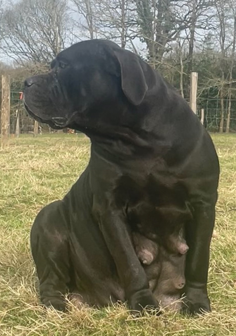 Naissance 27 février 2026